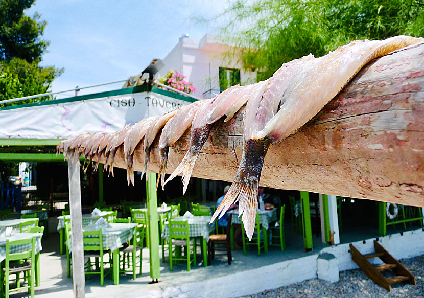 Färsk fisk och färska skaldjur på restaurangerna i Agnontas.