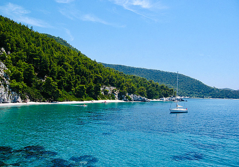 Fteli beach nära stränderna Megalo Pefko och Hovolo på Skopelos.