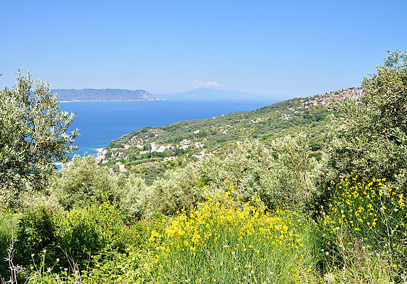 Från byarna Loutraki och Glossa ser man Skopelos grannö Skiathos.