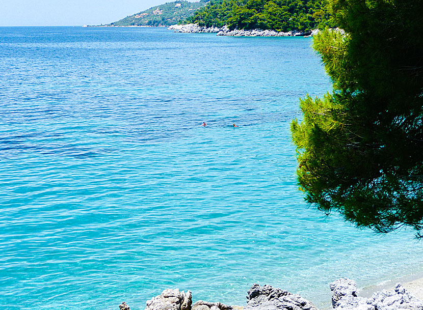 Kastani och Kalimera beach på Skopelos