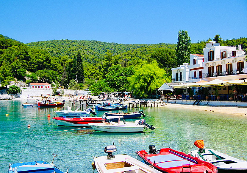 Agnontas på Skopelos i Grekland.