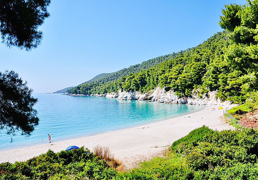 Skopelos bästa stränder. Kastani beach.