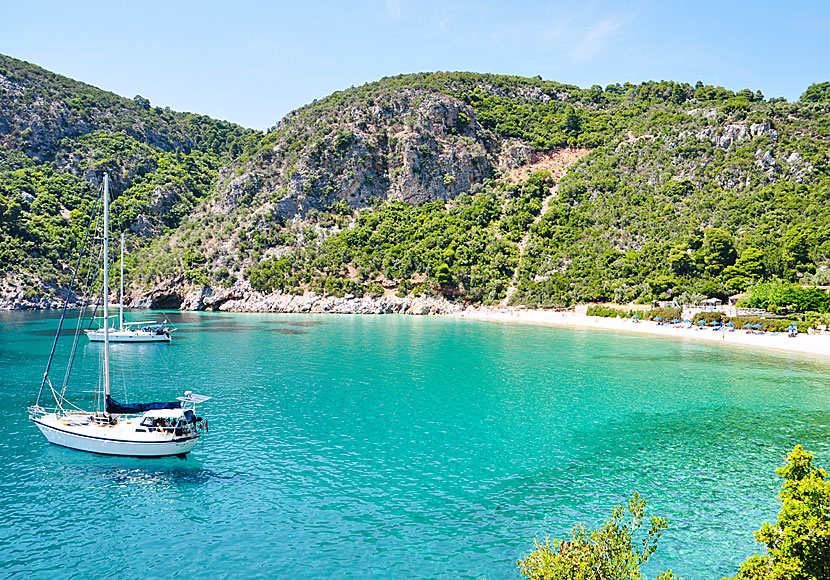 Limnonari beach på Skopelos i Grekland.