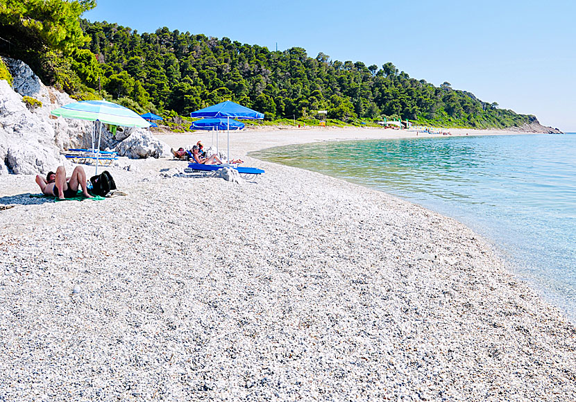 Skopelos bästa stränder.  Milia beach.