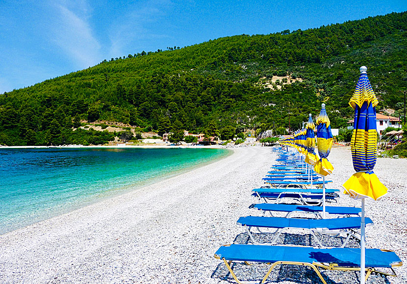 Stranden i Panormos på Skopelos.