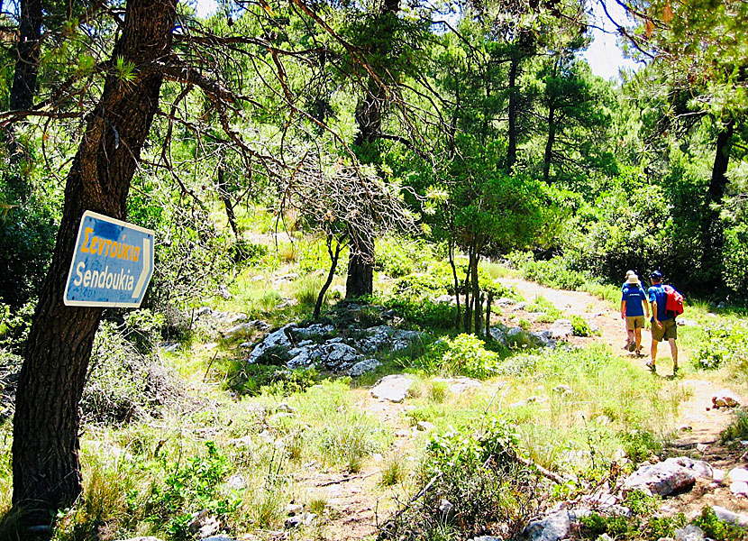 Vandringen till gravplatsen Sendoukia på Skopelos enkel och mycket vacker.