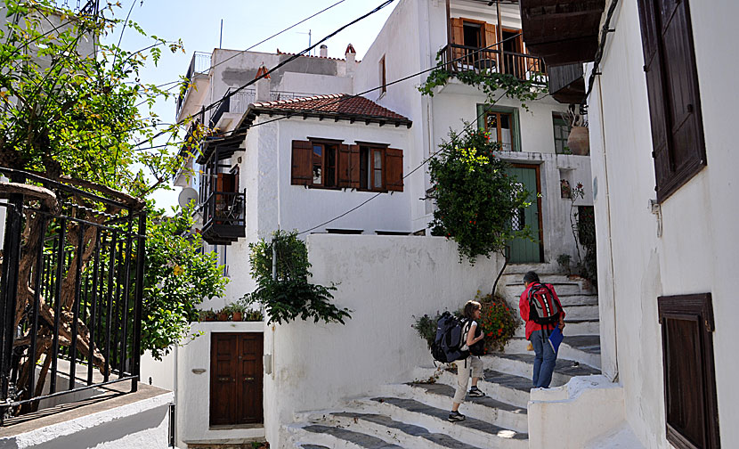 39 Steps. Skopelos.