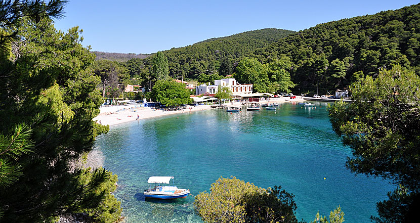 Supemysiga Agnontas på Skopelos. 