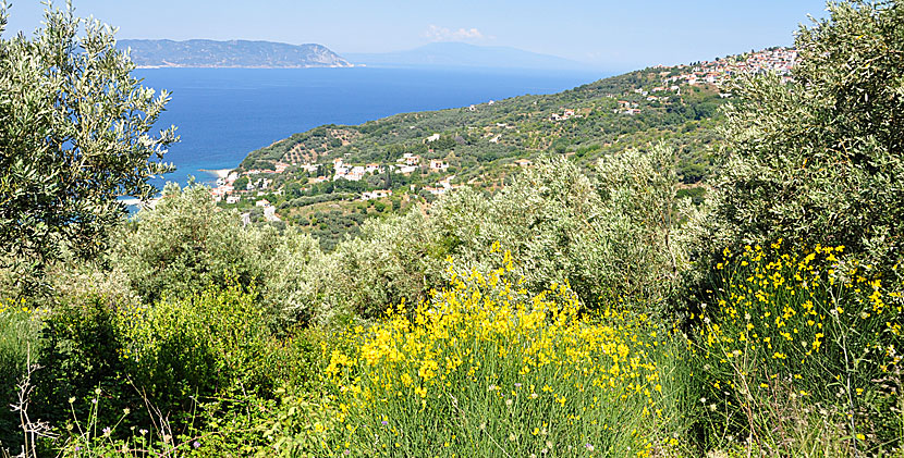 Loutraki och Glossa på Skopelos.