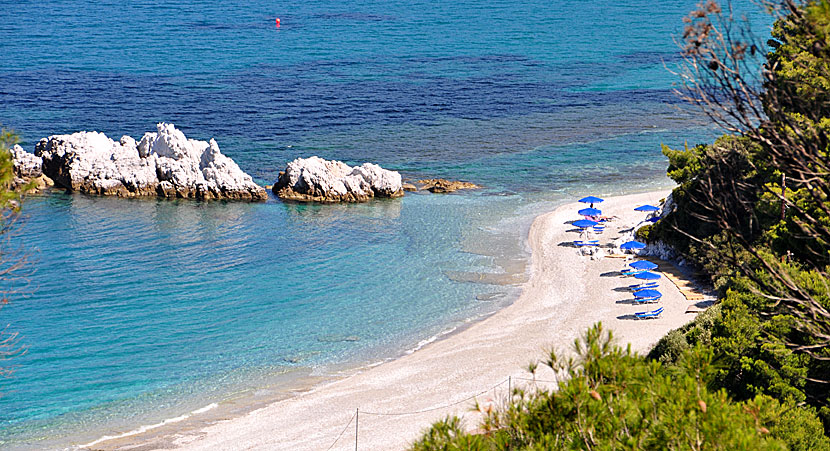 Milia beach. Skopelos.