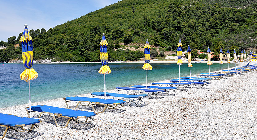 Solstolar i Panormos på Skopelos.