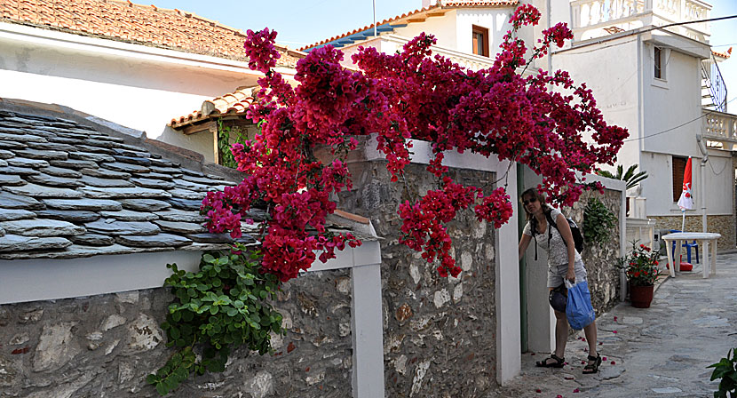 39 Steps i Skopelos stad.