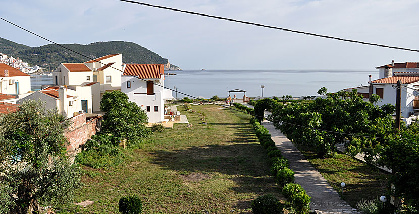 Utsikt från vår balkong på Del Sol, även kallad Sophie Studios & Apartments. Skopelos.