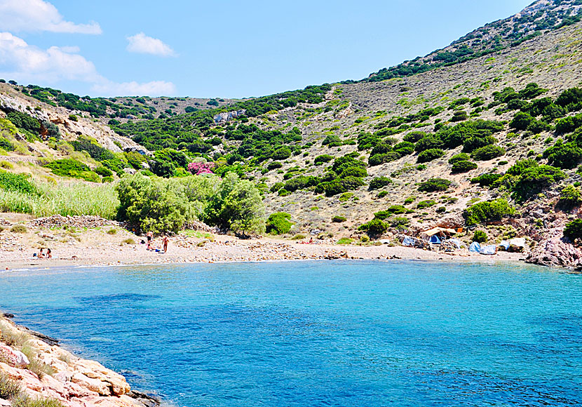 Syros bästa stränder. Armeos beach.  