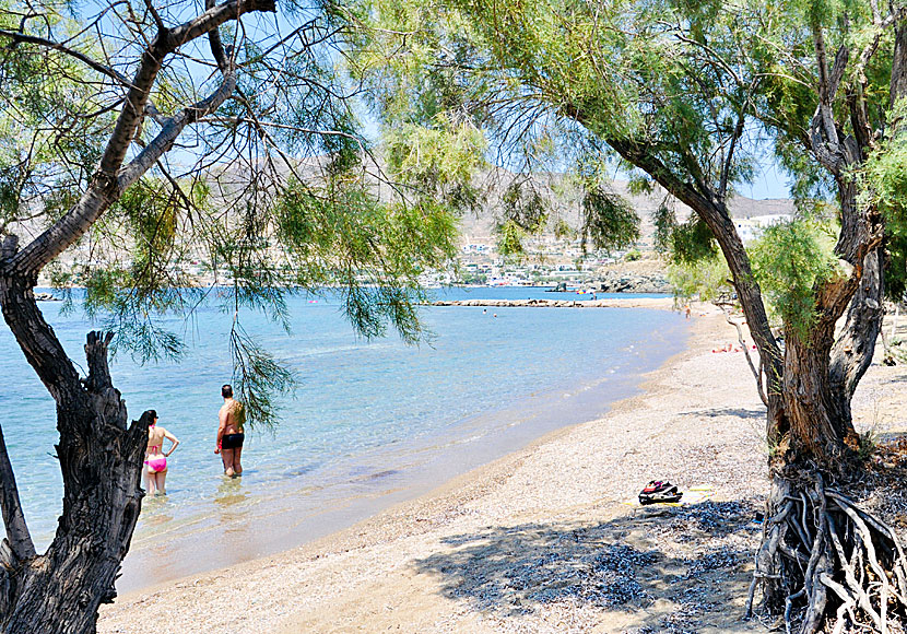 Posidonia beach på Syros i Kykladerna.