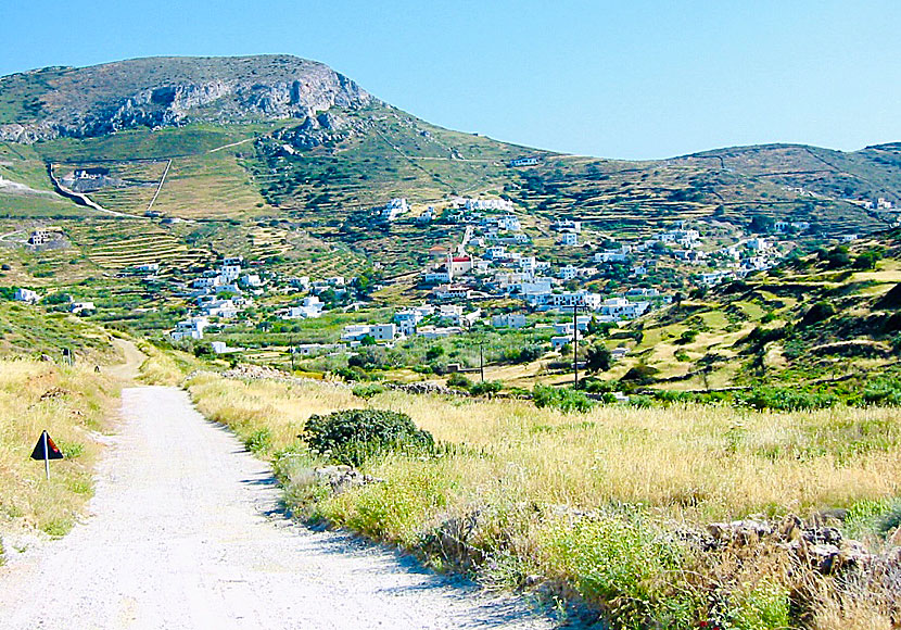 Vandra mellan Kini och Delfini beach på Syros.