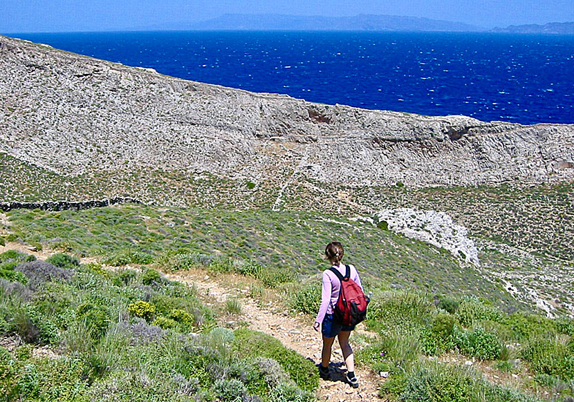 Vandra till de arkeologiska utgrävningarna i Kastri på Syros.