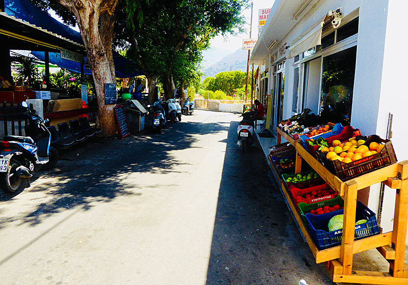 Mopeduthyrare mellan Michalis Taverna och Jannis Supermarket i Livadia på Tilos.