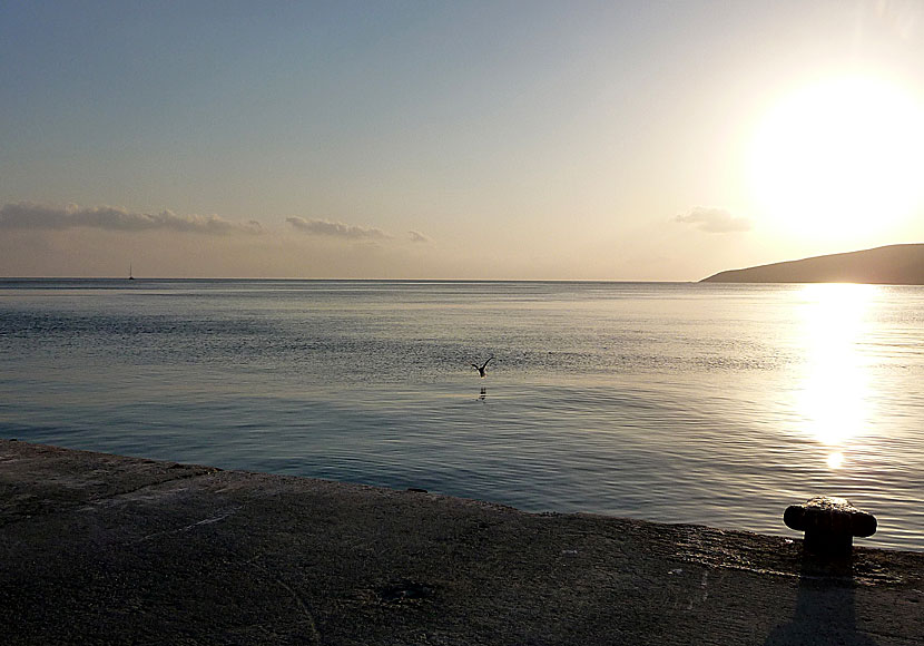 Jag ger dig min morgon med Fred Åkerström i Livadia på Tilos i Grekland.