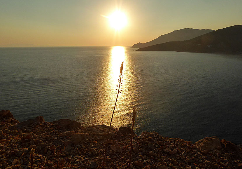 Soluppgång och sjölökar på Tilos.   