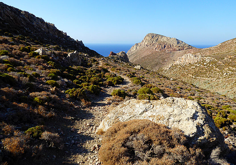 Här börjar stigen som går till stranden Tholos på Tilos.  