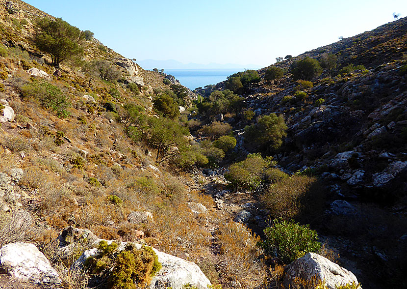 Vandra genom bäckravinen till Mikro Choria och Lethra beach på Tilos.     