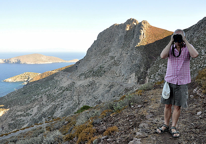 Vandra från klostret Agios Panteleimon till Agios Antonios på Tilos.