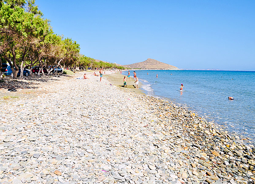 Agios Fokas beach på Tinos.