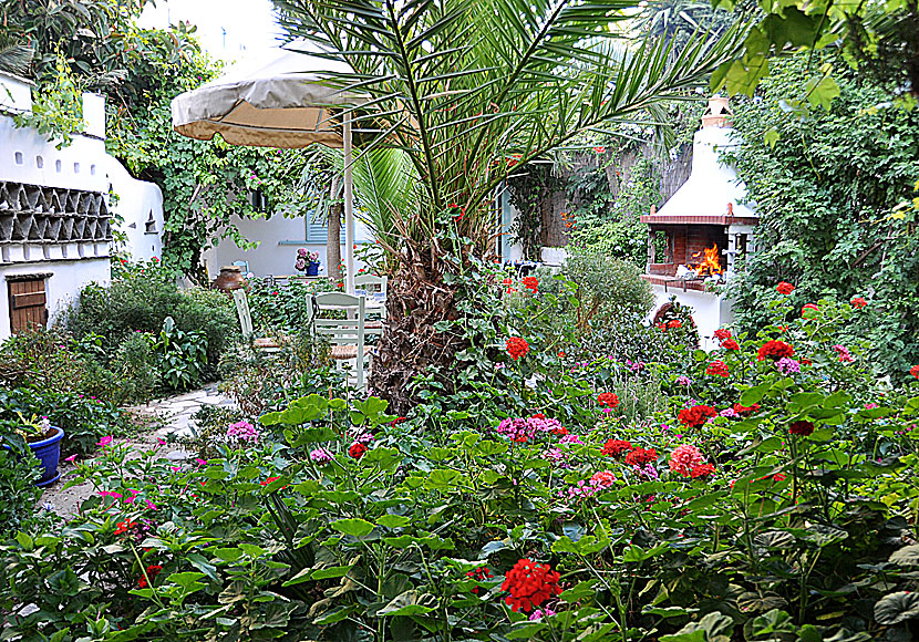 Nikoleta Rooms i Tinos stad 