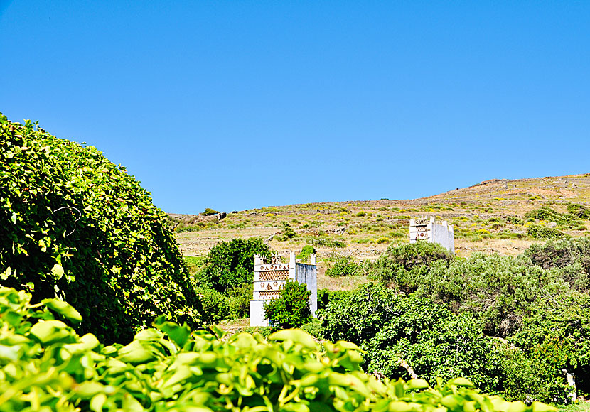 Vandra bland duvslag. Tinos.