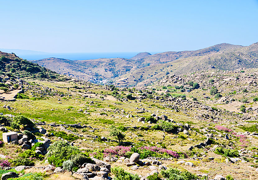 De vackra byarna Koumaros och Volax på ön Tinos i Kykladerna.