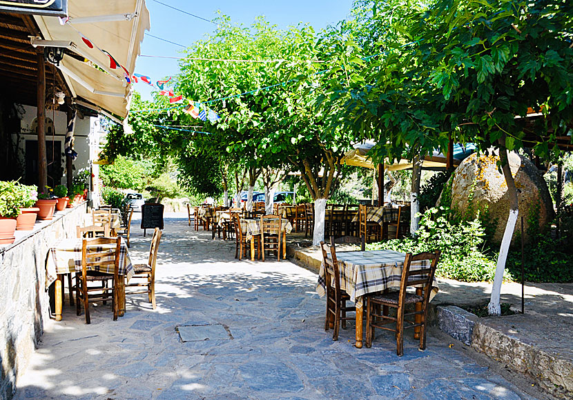 Restauranger i Volax på Tinos.