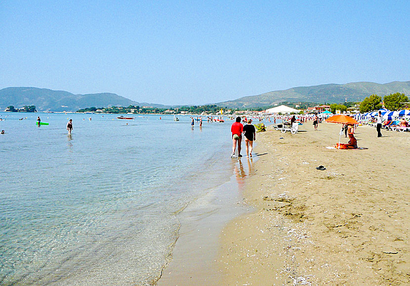 Zakynthos bästa stränder. Laganas beach.