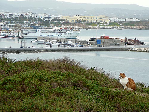Naxos.