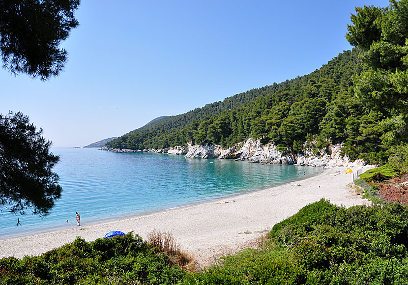 Kastani beach på Skopelos där delar av Mamma Mia spelades in.