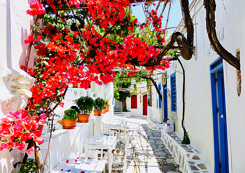 Chora. Amorgos. Kreikka.