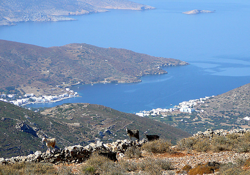 Katapola på Amorgos sett 500 meter över havet.