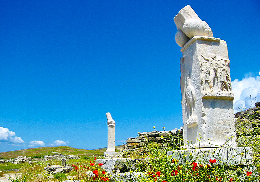På ön Delos i Grekland finns många fallos statyer.