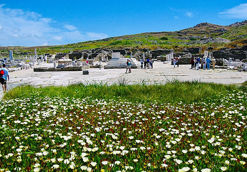 Den antika ön Delos utanför Mykonos  i Grekland.