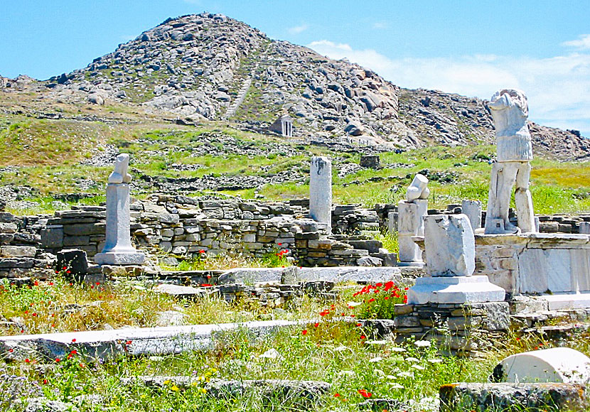 Delos. Mykonos. Kreikka.