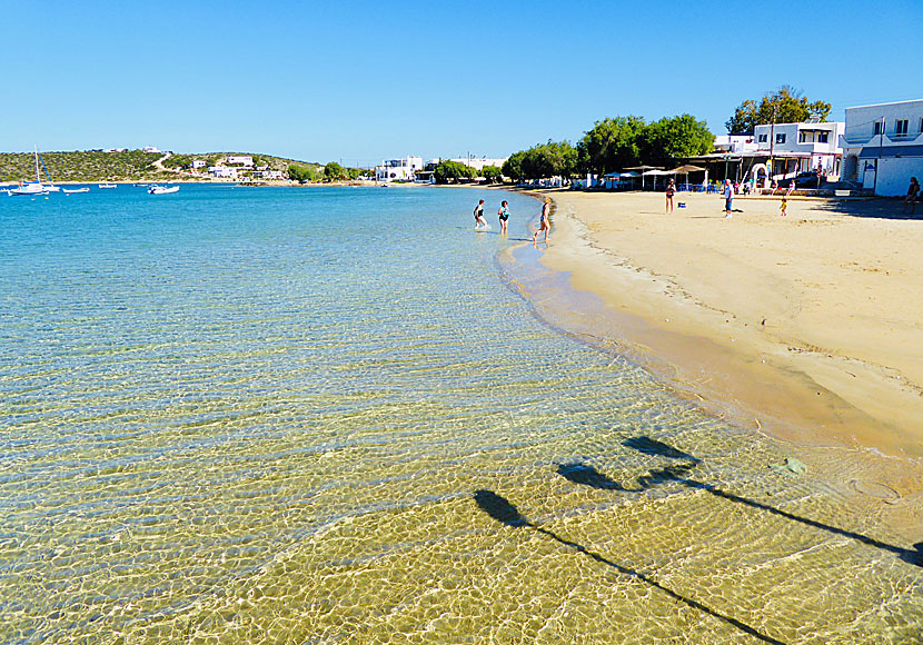 Tavernor, restauranger, hotell och sandstränder i Aliki på Paros i Kykladerna.