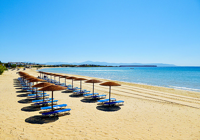 Golden beach på Paros är en av många fina sandstränder på östkusten.