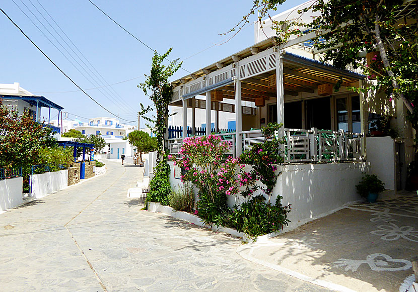 Bra restauranger och tavernor längs huvudgatan i Chora på Schinoussa.