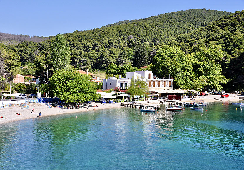 Skopelos är en lika grön som Samothrake.