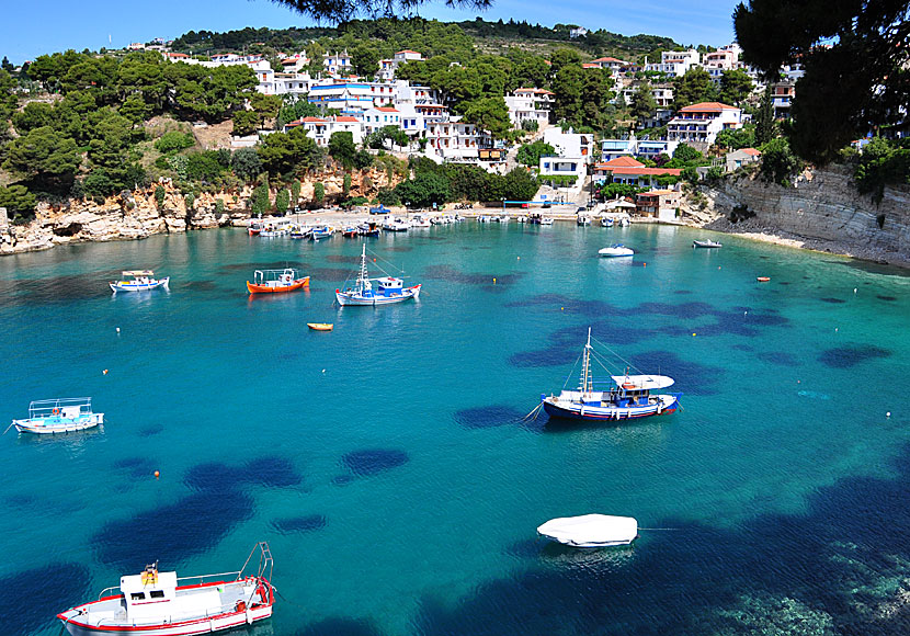 Thassos och Alonisssos är två gröna och vackra öar i Grekland.