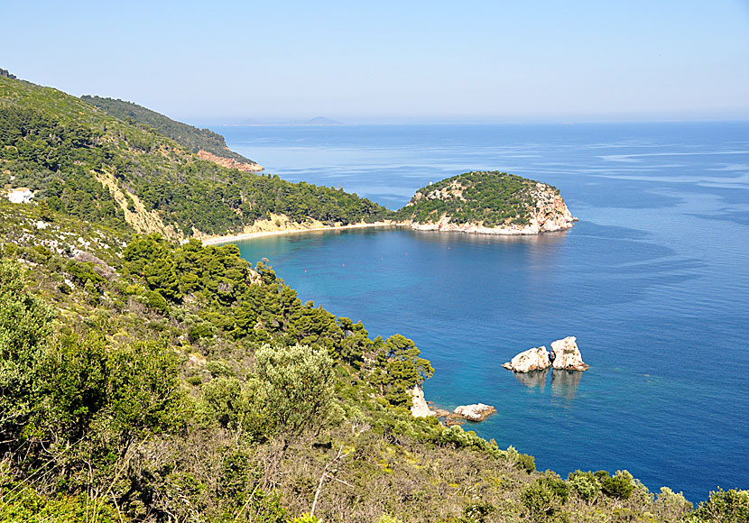 Thassos och Skopelos är två av Greklands grönaste öar.