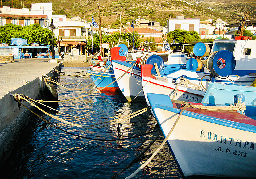 För den som gillar färsk fisk och färska skaldjur är Fourni en av Greklands bästa öar.