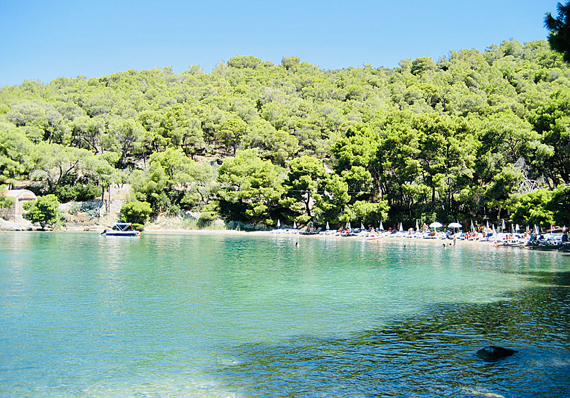 Love bay beach är Poros finaste strand. 