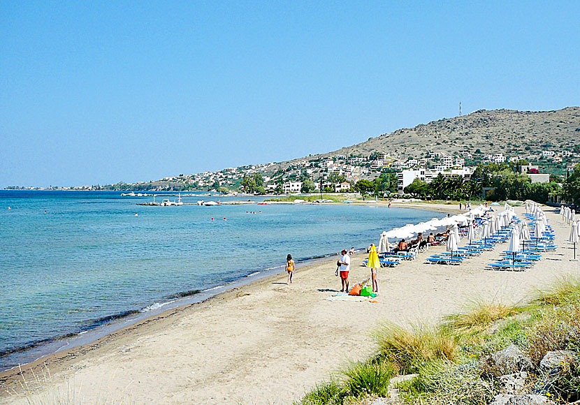 Marathonas beach Egina stad och Perdika.