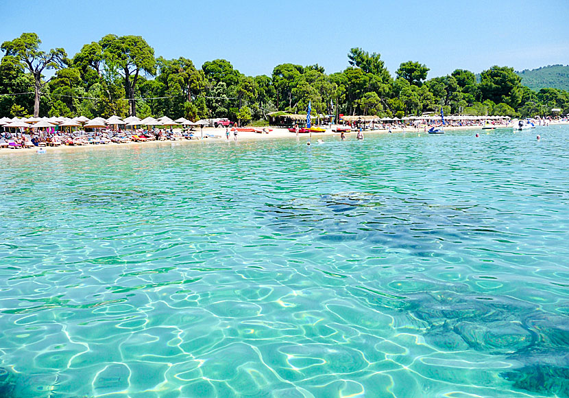 Barnvänliga Koukounaries beach är Skiathos, och i mångas ögon hela Greklands, bästa sandstrand.